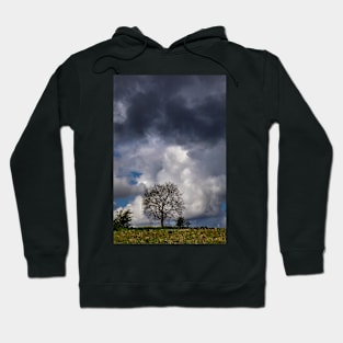 Under the sky Hoodie